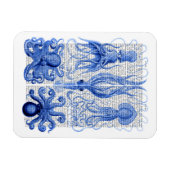 Kraken und Tintenfisch Blau Magnet (Horizontal)
