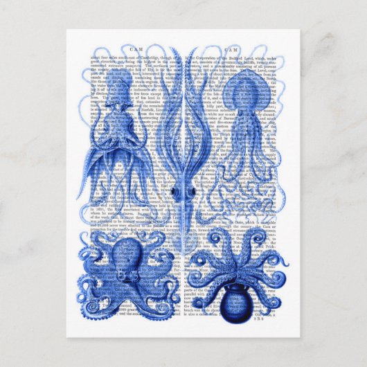 Kraken und Tintenfisch Blau Postkarte (Vorderseite)
