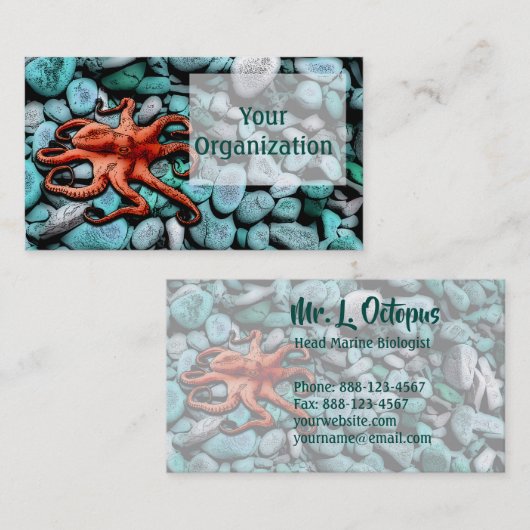 Kraken Visitenkarte (Vorne/Hinten)