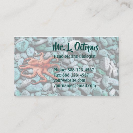 Kraken Visitenkarte (Rückseite)