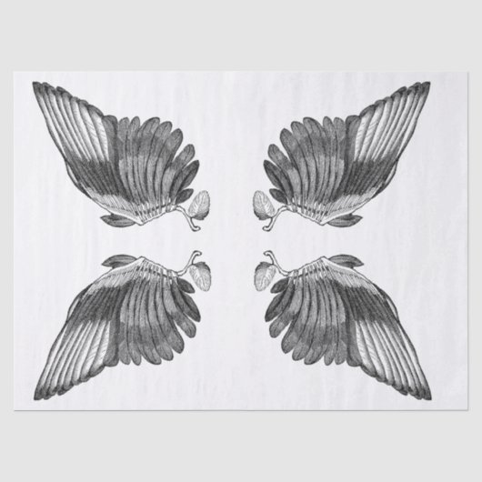 Kram-Zeitschrift Wings Element-Blatt Seidenpapier (Vorderseite)