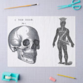 Kram-Zeitschriften-Anatomie-Element-Blatt Seidenpapier (Basteln)