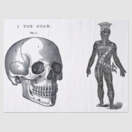 Kram-Zeitschriften-Anatomie-Element-Blatt Seidenpapier