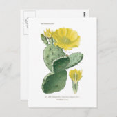 Krampfanfälle Postkarte (Vorne/Hinten)