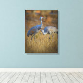 Kran Leinwanddruck (Insitu (Holzboden))