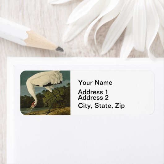 Krane Audubon Vogelmalerei (Insitu)