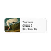 Krane Audubon Vogelmalerei (Vorne)