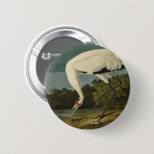 Krane Audubon Vogelmalerei Button (Vorne & Hinten)