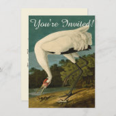 Krane Audubon Vogelmalerei Einladung (Vorne/Hinten)