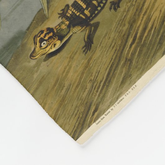 Krane Audubon Vogelmalerei Fleecedecke (Ecke)