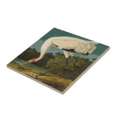 Krane Audubon Vogelmalerei Fliese (Seite)