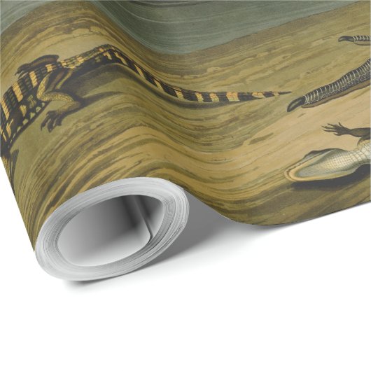 Krane Audubon Vogelmalerei Geschenkpapier (Rolleneckpunkt)