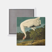 Krane Audubon Vogelmalerei Magnet (Vorderseite/Rückseite)