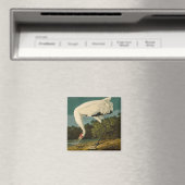 Krane Audubon Vogelmalerei Magnet (In Situ (Geschirrspüler))