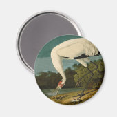 Krane Audubon Vogelmalerei Magnet (Vorderseite/Rückseite)