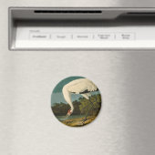 Krane Audubon Vogelmalerei Magnet (In Situ (Geschirrspüler))