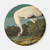 Krane Audubon Vogelmalerei Magnet (Vorne)
