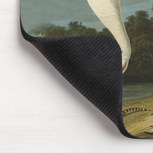 Krane Audubon Vogelmalerei Mousepad (Ecke)