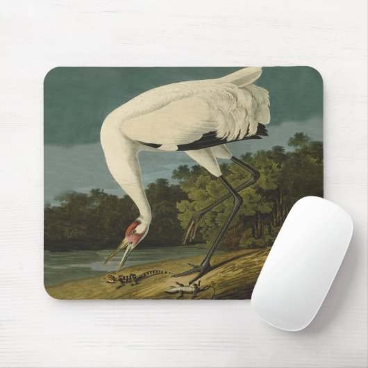 Krane Audubon Vogelmalerei Mousepad (Mit Mouse)