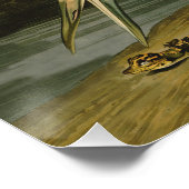 Krane Audubon Vogelmalerei Poster (Ecke)