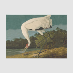 Krane Audubon Vogelmalerei Seidenpapier