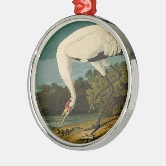 Krane Audubon Vogelmalerei Silbernes Ornament (Links)
