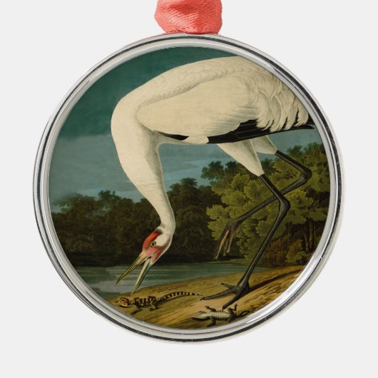 Krane Audubon Vogelmalerei Silbernes Ornament (Vorne)