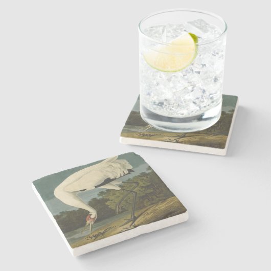 Krane Audubon Vogelmalerei Steinuntersetzer (Seitenansicht)