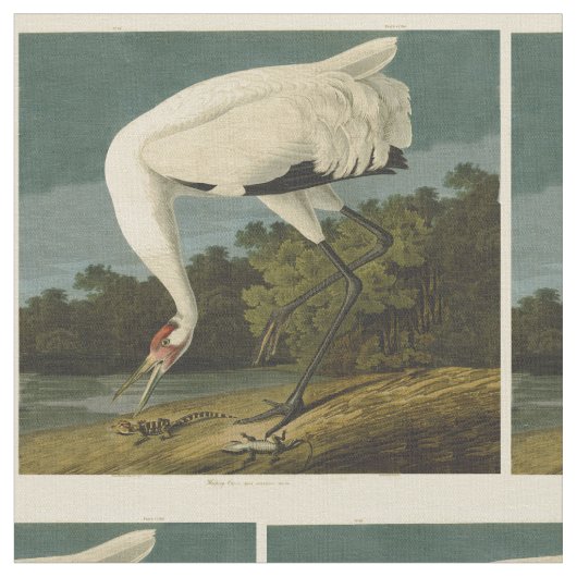 Krane Audubon Vogelmalerei Stoff (Nahaufnahme)