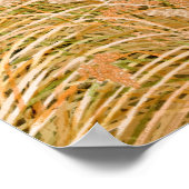 Krane auf Reisfeldern Poster (Ecke)