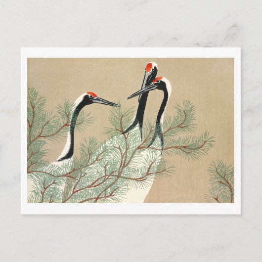 Krane aus Momoyogusa Postkarte (Vorderseite)