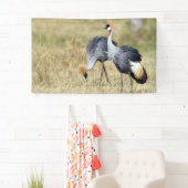 Krane bei Masai Mara Banner (Insitu)