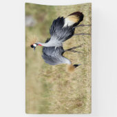 Krane bei Masai Mara Banner (Vertikal)