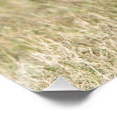 Krane bei Masai Mara Poster (Ecke)