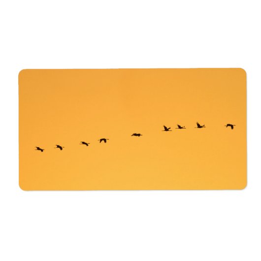 Krane bei Sonnenaufgang (Vorne)