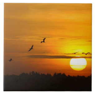 Krane bei Sonnenaufgang Fliese
