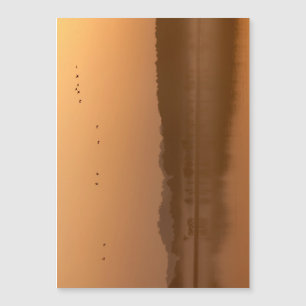 Krane bei Sonnenaufgang Magnetkarte