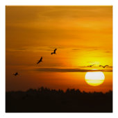 Krane bei Sonnenaufgang Poster (Vorderseite)
