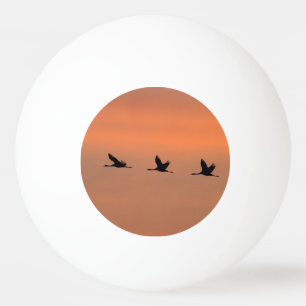 Krane bei Sonnenaufgang Tischtennisball