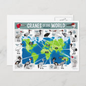 Krane der Welt Postkarte (Vorne/Hinten)