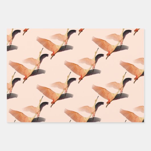 Krane Geschenkpapier Set (Vorderseite 2)