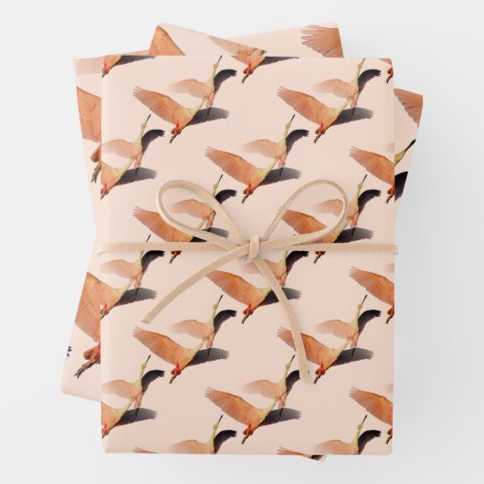 Krane Geschenkpapier Set (Beispiel)