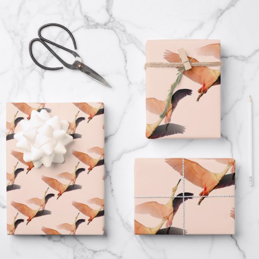 Krane Geschenkpapier Set (Vorderseite)