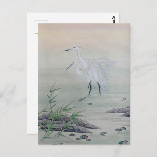 Krane im chinesischen Fluss Postkarte (Vorne/Hinten)