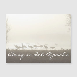 Krane im Nebel Bosque del Apache Magnetkarte