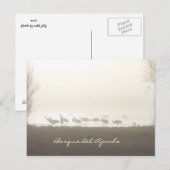 Krane im Nebel Bosque del Apache Postkarte (Vorne/Hinten)