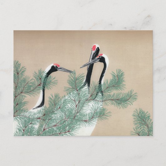 Krane Postkarte (Vorderseite)