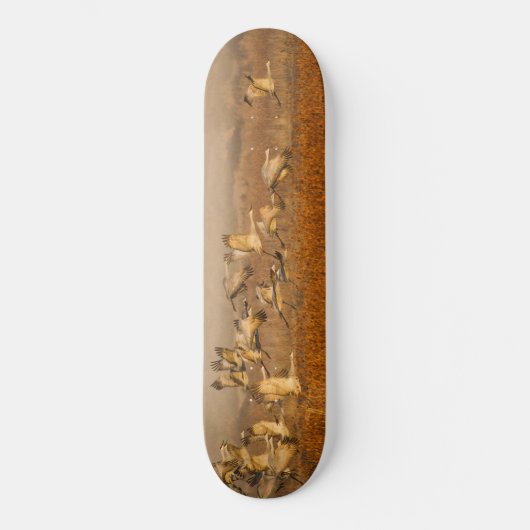 Krane über goldenem Feld Skateboard (Vorderseite)