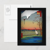 Krane und blaues Wasser Postkarte (Vorne/Hinten)