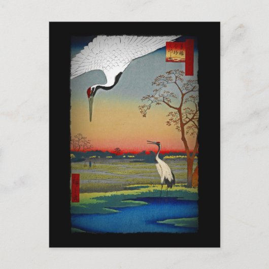 Krane und blaues Wasser Postkarte (Vorderseite)